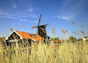 Zaanstad in de collectie MOOI in Noord-Holland