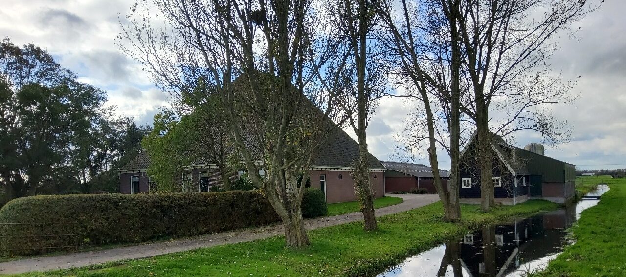 Voorbeeld Starnmeer
